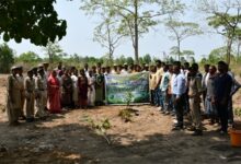 इंद्रावती टाइगर रिजर्व का अनूठा अभियान : ‘एक पेड़ माँ के नाम’ से दिया प्रकृति संरक्षण का संदेश इंद्रावती टाइगर रिजर्व का अनूठा अभियान : ‘एक पेड़ माँ के नाम’ से दिया प्रकृति संरक्षण का संदेश