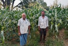 आधुनिक खेती की ओर कदम : नैनो उर्वरक और स्वीट कॉर्न ने बदली रामचंद्र की किस्मत