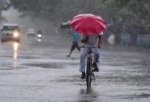 केरल पहुंचा मानसून, छत्तीसगढ़ में अभी नहीं दिखेगी राहत