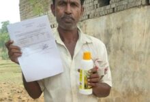 नैनो डीएपी: कम लागत, बेहतर पोषण से भरपूर उत्पादन
