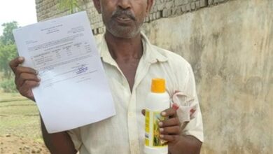 नैनो डीएपी: कम लागत, बेहतर पोषण से भरपूर उत्पादन