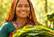 तेंदूपत्ता संग्राहकों के सामाजिक-आर्थिक सशक्तिकरण की ओर छत्तीसगढ़