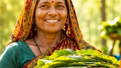 तेंदूपत्ता संग्राहकों के सामाजिक-आर्थिक सशक्तिकरण की ओर छत्तीसगढ़
