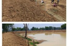 बारिश के साथ दिखने लगा ‘मोर गांव-मोर पानी’ अभियान का असर