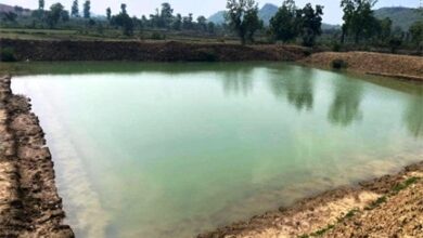 सामुदायिक डबरी निर्माण से बदली कर्रा की तस्वीर