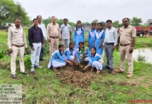 बलौदाबाजार वनमण्डल में ‘युवान’ कार्यक्रम के साथ मनाया गया वन महोत्सव