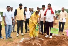 हरित विकास और ग्रामीण आजीविका की अनूठी पहल