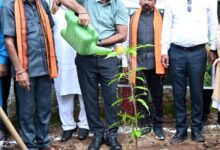 मुख्यमंत्री विष्णुदेव साय के नेतृत्व में ‘एक पेड़ मां के नाम 3.0’ अभियान को मिल रहा जन-जन का साथ मुख्यमंत्री विष्णुदेव साय के नेतृत्व में ‘एक पेड़ मां के नाम 3.0’ अभियान को मिल रहा जन-जन का साथ