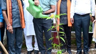 मुख्यमंत्री विष्णुदेव साय के नेतृत्व में ‘एक पेड़ मां के नाम 3.0’ अभियान को मिल रहा जन-जन का साथ