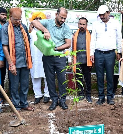 मुख्यमंत्री विष्णुदेव साय के नेतृत्व में ‘एक पेड़ मां के नाम 3.0’ अभियान को मिल रहा जन-जन का साथ मुख्यमंत्री विष्णुदेव साय के नेतृत्व में ‘एक पेड़ मां के नाम 3.0’ अभियान को मिल रहा जन-जन का साथ