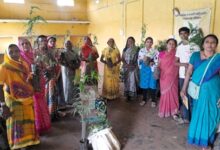 मुख्यमंत्री विष्णुदेव साय के नेतृत्व में पर्यावरण संरक्षण को जनआंदोलन बनाने की अभिनव पहल मुख्यमंत्री विष्णुदेव साय के नेतृत्व में पर्यावरण संरक्षण को जनआंदोलन बनाने की अभिनव पहल