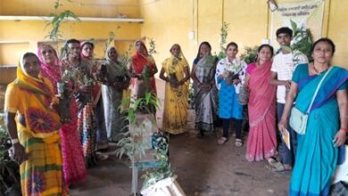 मुख्यमंत्री विष्णुदेव साय के नेतृत्व में पर्यावरण संरक्षण को जनआंदोलन बनाने की अभिनव पहल