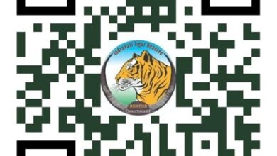 अंतरराष्ट्रीय बाघ दिवस पर होगा ‘रन फॉर इंद्रावती’ मैराथन का आयोजन