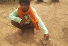 वन्यजीव संरक्षण में बड़ी सफलता : नर चीतल के अवैध शिकार का खुलासा, सात आरोपी गिरफ्तार, न्यायालय ने भेजा जेल