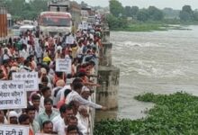खारून में मवेशियों पर आफत, 25 भैंसें बहीं, 2 नहीं बचीं