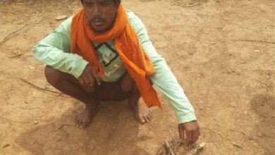 वन्यजीव संरक्षण में बड़ी सफलता : नर चीतल के अवैध शिकार का खुलासा, सात आरोपी गिरफ्तार, न्यायालय ने भेजा जेल