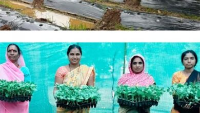 जलवायु परिवर्तन के दौर में किसानों के लिए वरदान बनेगी ग्राफ्टेड सब्जी: धमतरी में वैज्ञानिक प्रशिक्षण संपन्न