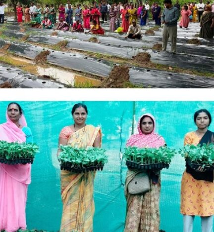 जलवायु परिवर्तन के दौर में किसानों के लिए वरदान बनेगी ग्राफ्टेड सब्जी: धमतरी में वैज्ञानिक प्रशिक्षण संपन्न