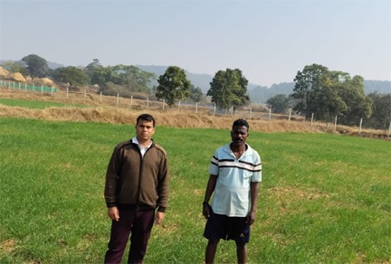 कम लागत, दोगुना फायदा : जशपुर के किसान ने गेहूं की खेती से बढ़ाई आमदनी कम लागत, दोगुना फायदा : जशपुर के किसान ने गेहूं की खेती से बढ़ाई आमदनी