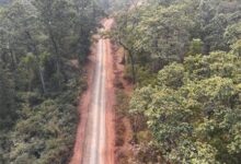 अबूझमाड़ का नया सवेरा: डोंडरीबेड़ा से कटेर की सड़क ने मिटाया दशकों का सन्नाटा