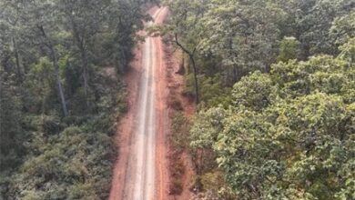 अबूझमाड़ का नया सवेरा: डोंडरीबेड़ा से कटेर की सड़क ने मिटाया दशकों का सन्नाटा
