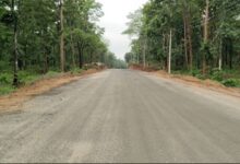 नेशनल हाईवे-45 पर छतौना के पास मरम्मत कार्य जारी, मार्ग पर आवाजाही पूरी तरह चालू नेशनल हाईवे-45 पर छतौना के पास मरम्मत कार्य जारी, मार्ग पर आवाजाही पूरी तरह चालू