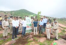 पथरीली पहाड़ियों को हराभरा बनाने की अनोखी पहल