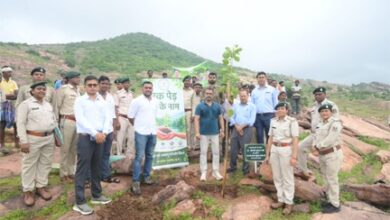पथरीली पहाड़ियों को हराभरा बनाने की अनोखी पहल पथरीली पहाड़ियों को हराभरा बनाने की अनोखी पहल