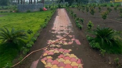 विकास और पर्यावरण के संतुलन का मिसाल बना भखारा आईटीआई