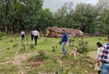मलेरिया के खिलाफ जंगलों में उतरा स्वास्थ्य महकमा, संवेदनशील इलाकों की परखी तैयारियां