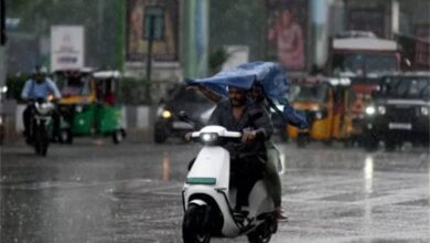 राज्य में मानसून मेहरबान : अधिकांश जिलों में सामान्य से अधिक वर्षा, नारायणपुर, महासमुंद और सारंगढ़-बिलाईगढ़ सबसे आगे राज्य में मानसून मेहरबान : अधिकांश जिलों में सामान्य से अधिक वर्षा, नारायणपुर, महासमुंद और सारंगढ़-बिलाईगढ़ सबसे आगे