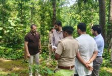 प्रधान मुख्य वन संरक्षक एवं वन बल प्रमुख ने जशपुर के भैरव पहाड़ और पर्यावरण वाटिका का किया निरीक्षण
