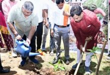 प्रभारी मंत्री राजेश अग्रवाल ने किया पौधरोपण, हरेली पर हरित जीपीएम का संकल्प