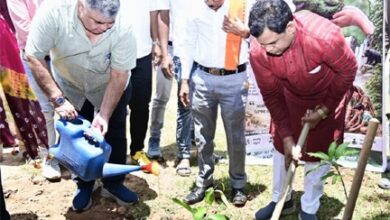प्रभारी मंत्री राजेश अग्रवाल ने किया पौधरोपण, हरेली पर हरित जीपीएम का संकल्प प्रभारी मंत्री राजेश अग्रवाल ने किया पौधरोपण, हरेली पर हरित जीपीएम का संकल्प