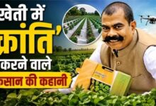 60 देशी गायों से बदली खेती की तस्वीर