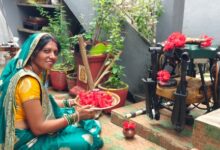 हरेली पर बालोद में परंपरा और आधुनिकता का अनूठा संगम