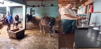 शासकीय योजना और वैज्ञानिक तकनीक से अंगेश्वर कुर्रे बने डेयरी उद्यमिता की मिसाल
