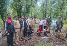 मृत भालू के नाखून काटकर ले जाने वाले दो आरोपी गिरफ्तार