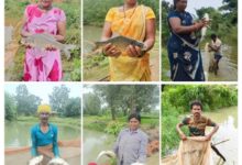 बहता पानी लाया खुशहाली: कुकरेल में 200 से अधिक फार्म पॉन्ड बने जल संरक्षण और आजीविका का सशक्त मॉडल