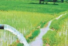 छत्तीसगढ़- सात सिंचाई योजनाओं के लिए 30.74 करोड़ रूपए स्वीकृत