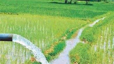 छत्तीसगढ़- सात सिंचाई योजनाओं के लिए 30.74 करोड़ रूपए स्वीकृत