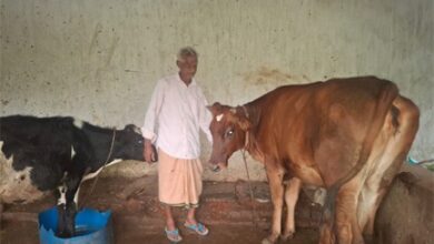 पीएम किसान सम्मान निधि की बचत से खरीदी पहली गाय, आज 10 गायों के साथ आत्मनिर्भर बने 75 वर्षीय परशुराम गुप्ता