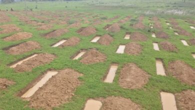 ढलानों पर बनेगी जल-संरक्षण की राह, संवरेंगे खेत और गांव