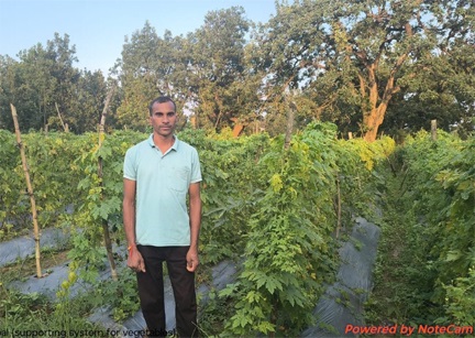 परंपरागत खेती से व्यावसायिक उद्यानिकी का सफर