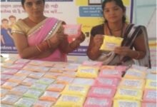 लखपति दीदी डोंगरगढ़ की दिनेश्वरी सोरी ने बिहान योजना से बदली तकदीर