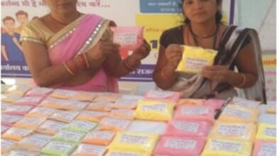 लखपति दीदी डोंगरगढ़ की दिनेश्वरी सोरी ने बिहान योजना से बदली तकदीर
