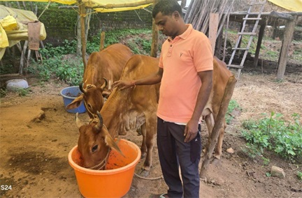 छत्तीसगढ़ का स्वावलंबन : नस्ल सुधार ने बदली किसान विनोद की किस्मत, घर की बछिया बनी आर्थिक समृद्धि का आधार छत्तीसगढ़ का स्वावलंबन : नस्ल सुधार ने बदली किसान विनोद की किस्मत, घर की बछिया बनी आर्थिक समृद्धि का आधार