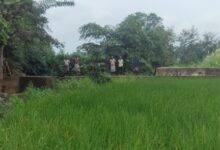सेवा की कहानी : स्टॉपडेम से खुशहाल हुए आदिवासी परिवार