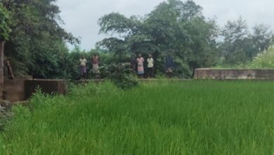सेवा की कहानी : स्टॉपडेम से खुशहाल हुए आदिवासी परिवार