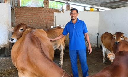 नस्ल सुधार से बढ़ा दुग्ध उत्पादन, मजबूत हुई दयासागर की आजीविका नस्ल सुधार से बढ़ा दुग्ध उत्पादन, मजबूत हुई दयासागर की आजीविका